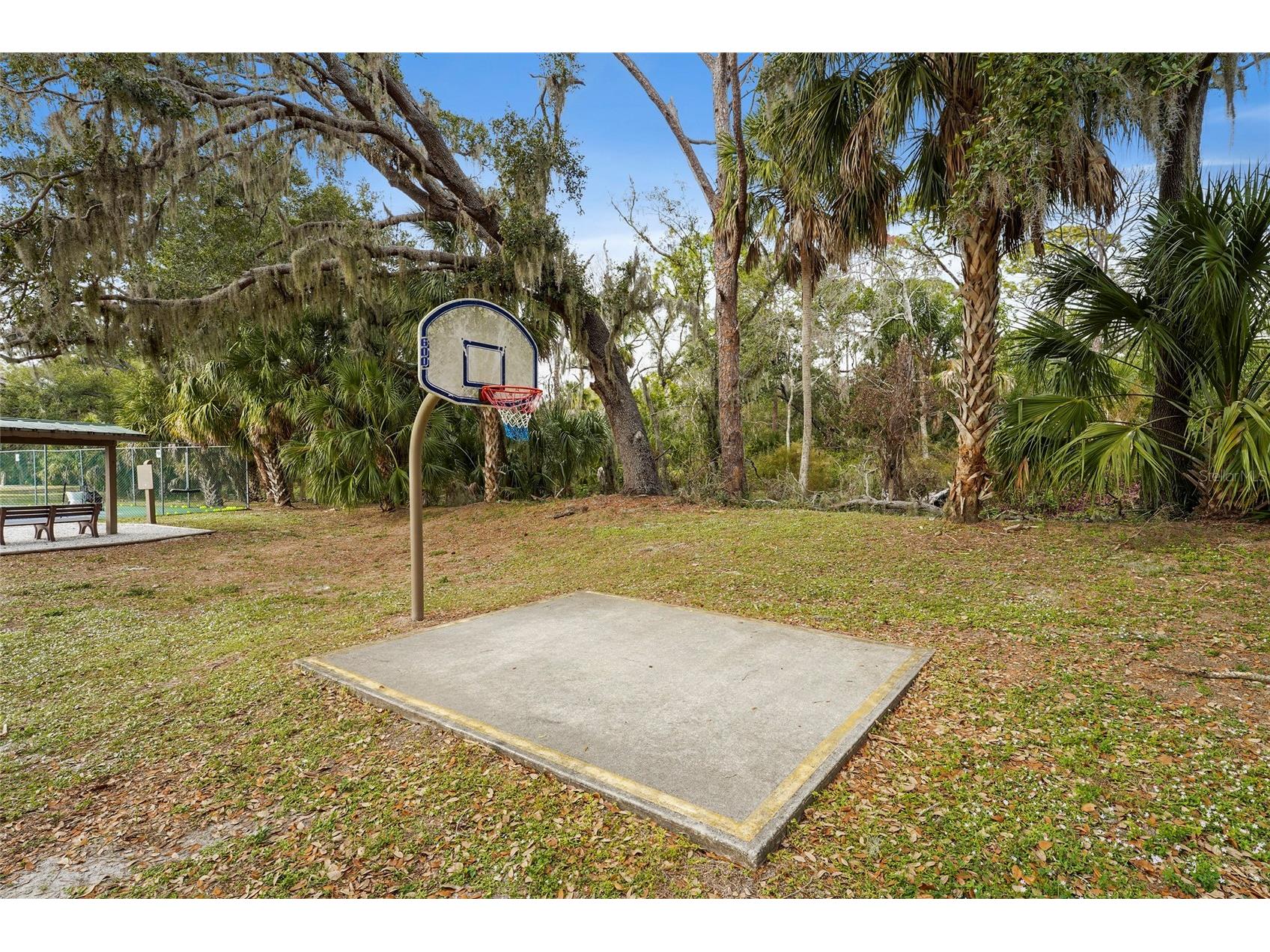 3350 W Chelmsford Court #13 Sarasota FL 34235 TB8466391 image65