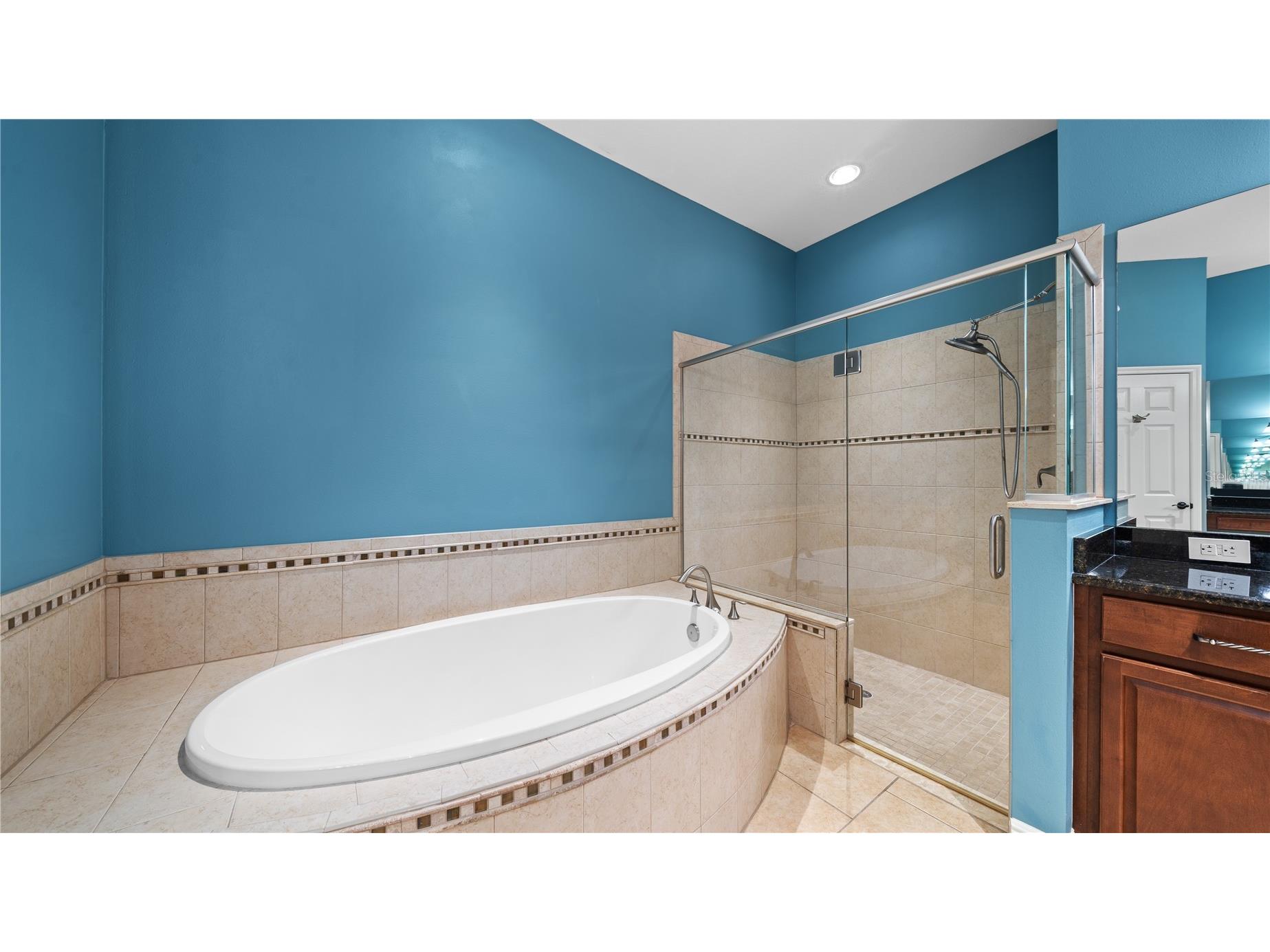 3350 Watermark Drive Wesley Chapel FL 33544 TB8510784 image20