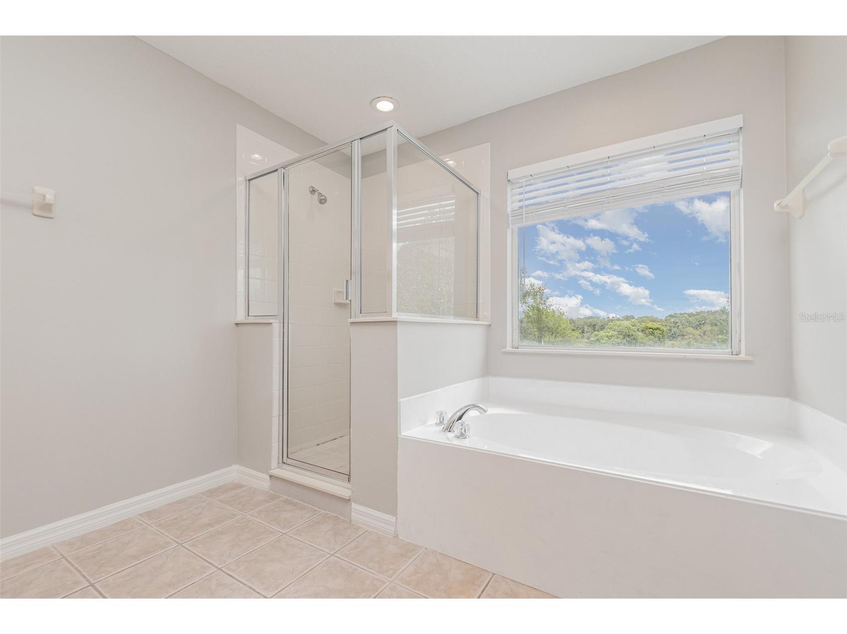 33501 Terragona Drive Sorrento FL 32776 TB8431552 image24