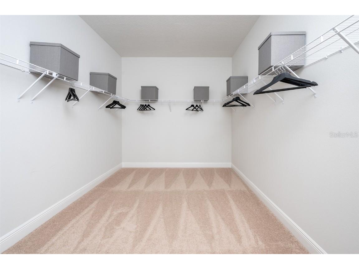 33503 Twilight Sea Place Dade City FL 33525 TB8462607 image19