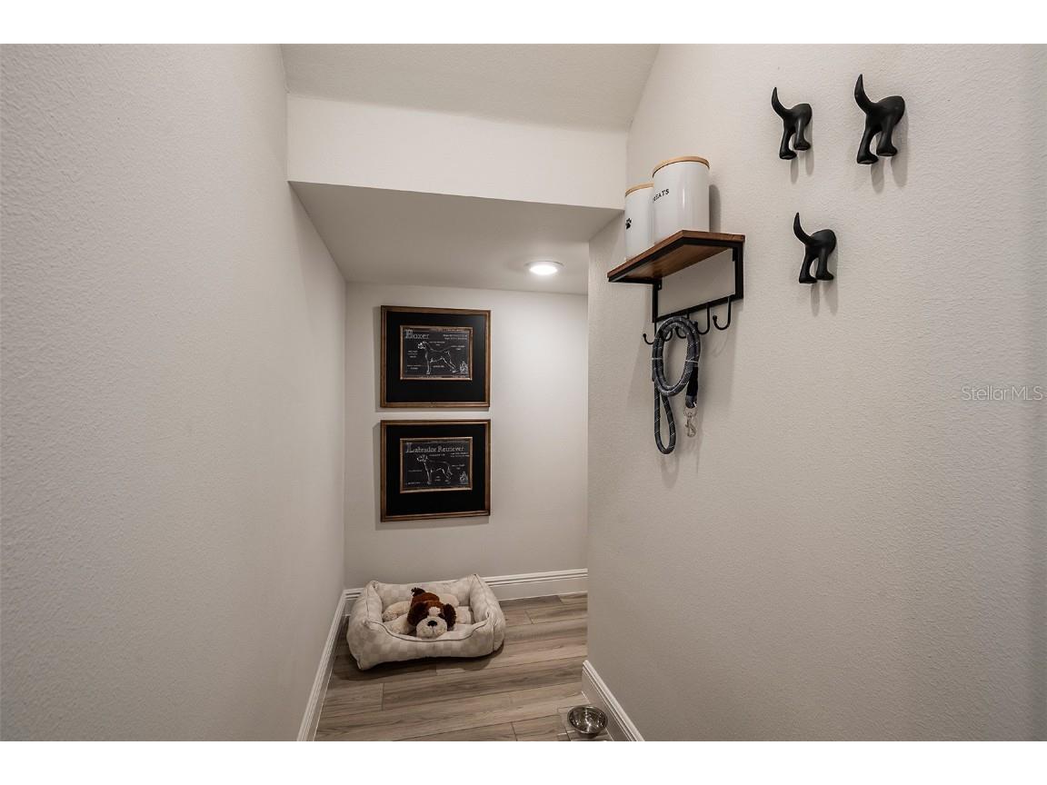 33503 Twilight Sea Place Dade City FL 33525 TB8462607 image21
