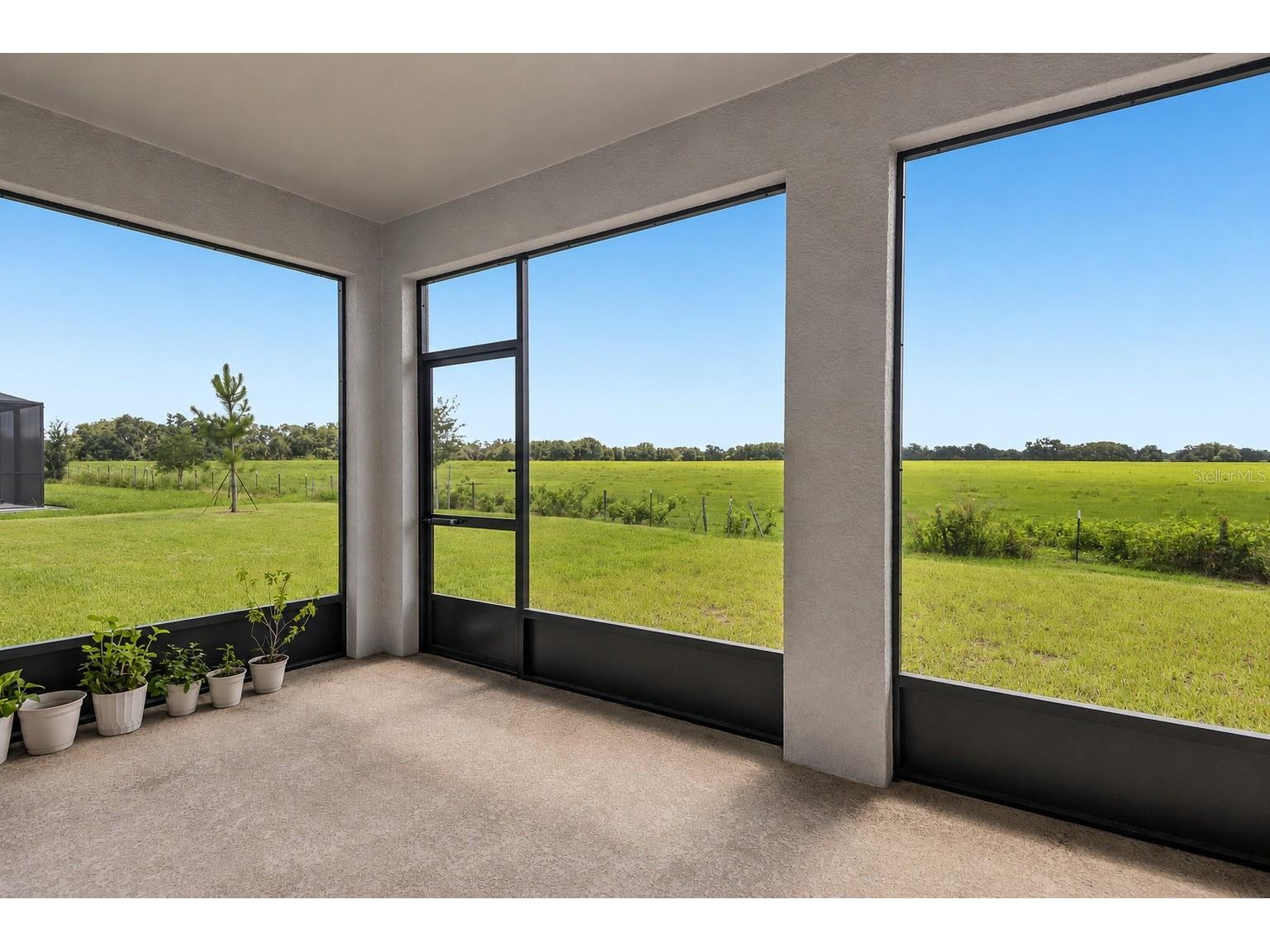33508 Darley Dale Trail Wesley Chapel FL 33545 TB8516729 image16