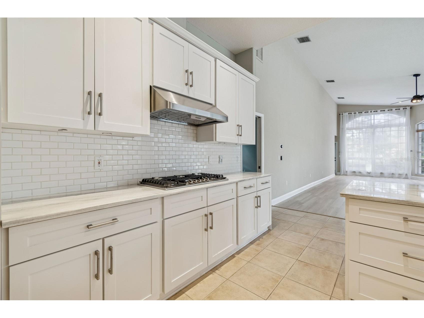 3351 Bristol Place Tarpon Springs FL 34688 TB8482613 image34