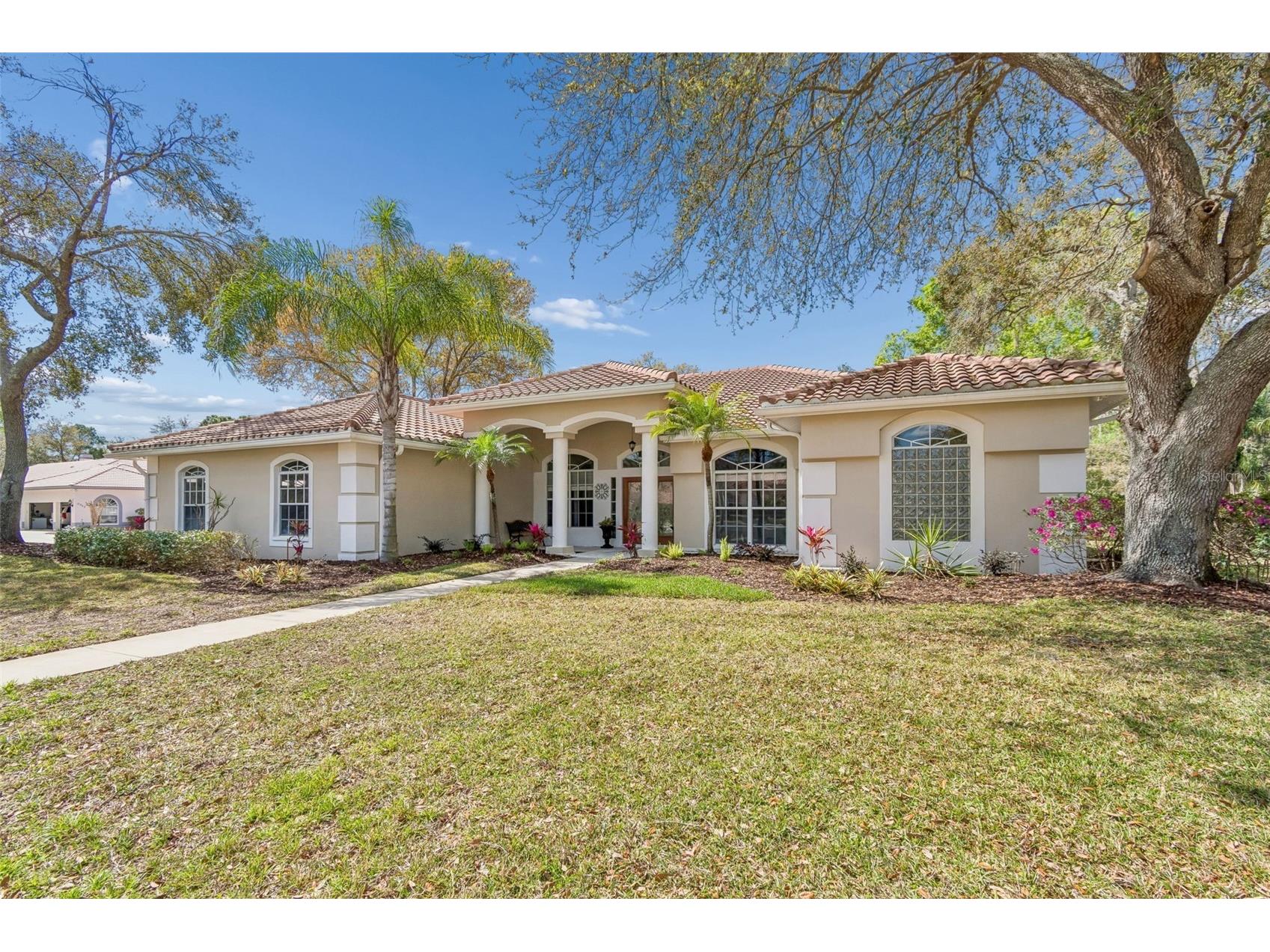 3351 Bristol Place Tarpon Springs FL 34688 TB8482613 image4