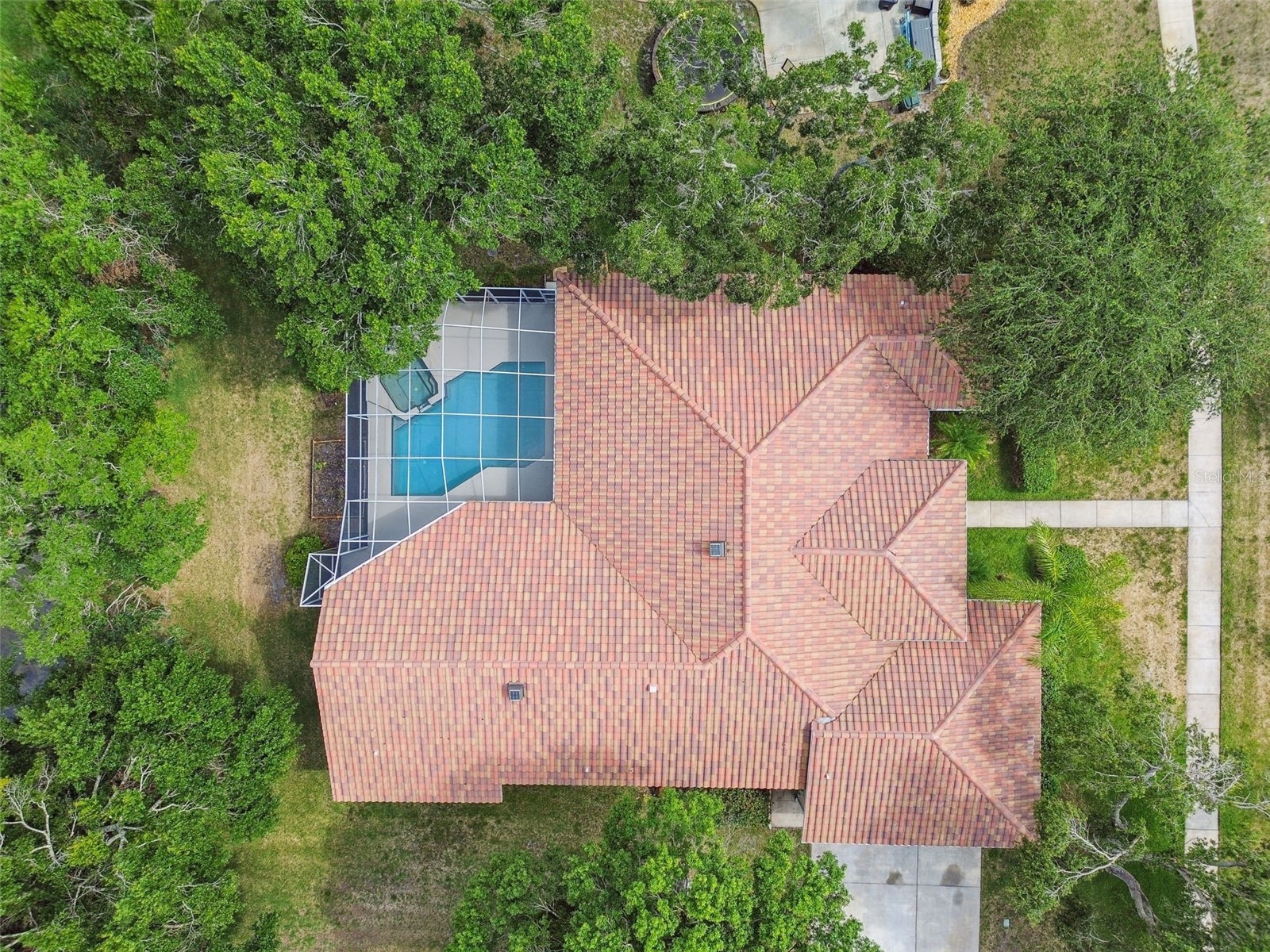 3351 Bristol Place Tarpon Springs FL 34688 TB8482613 image41