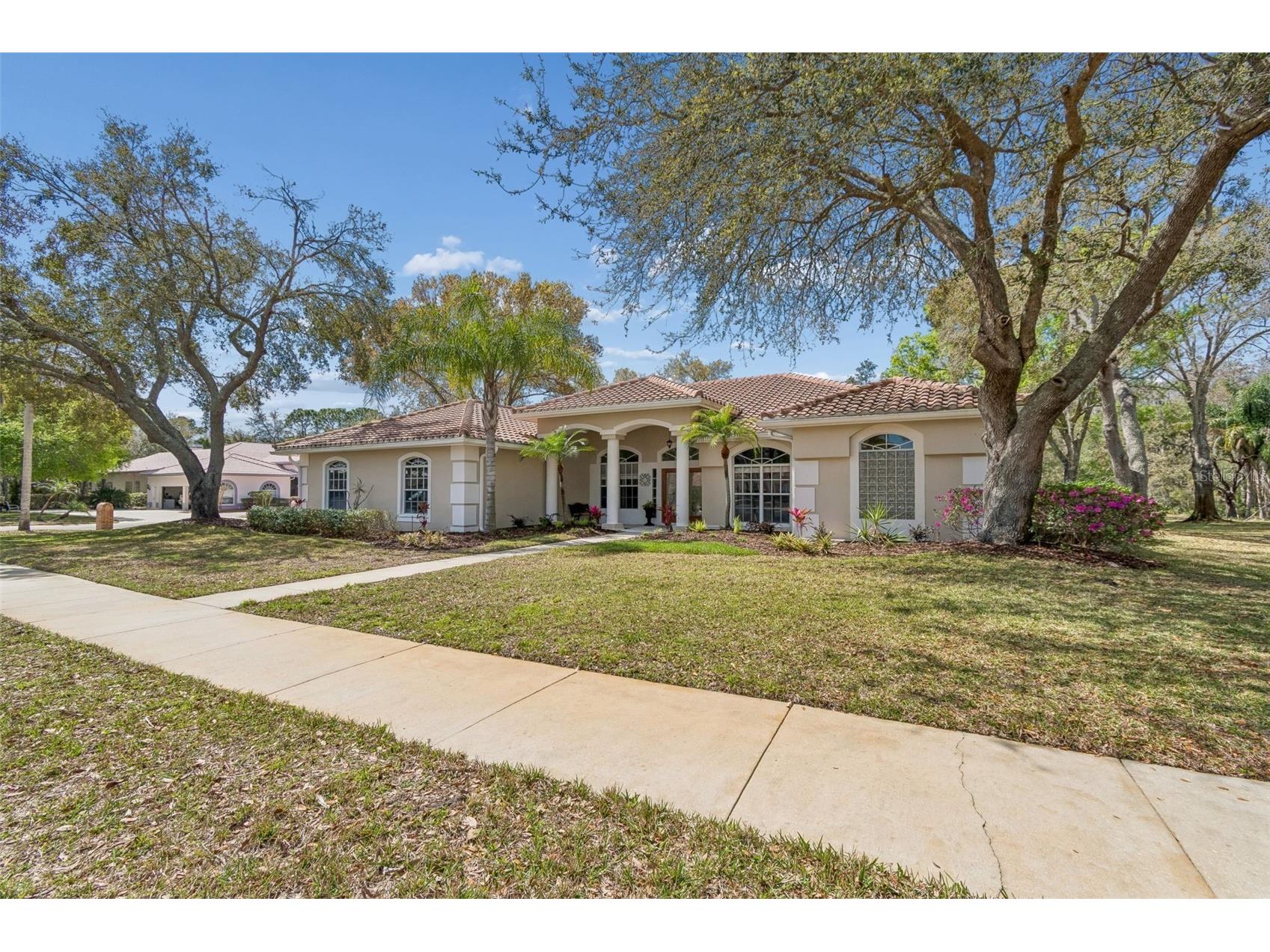 3351 Bristol Place Tarpon Springs FL 34688 TB8482613 image5