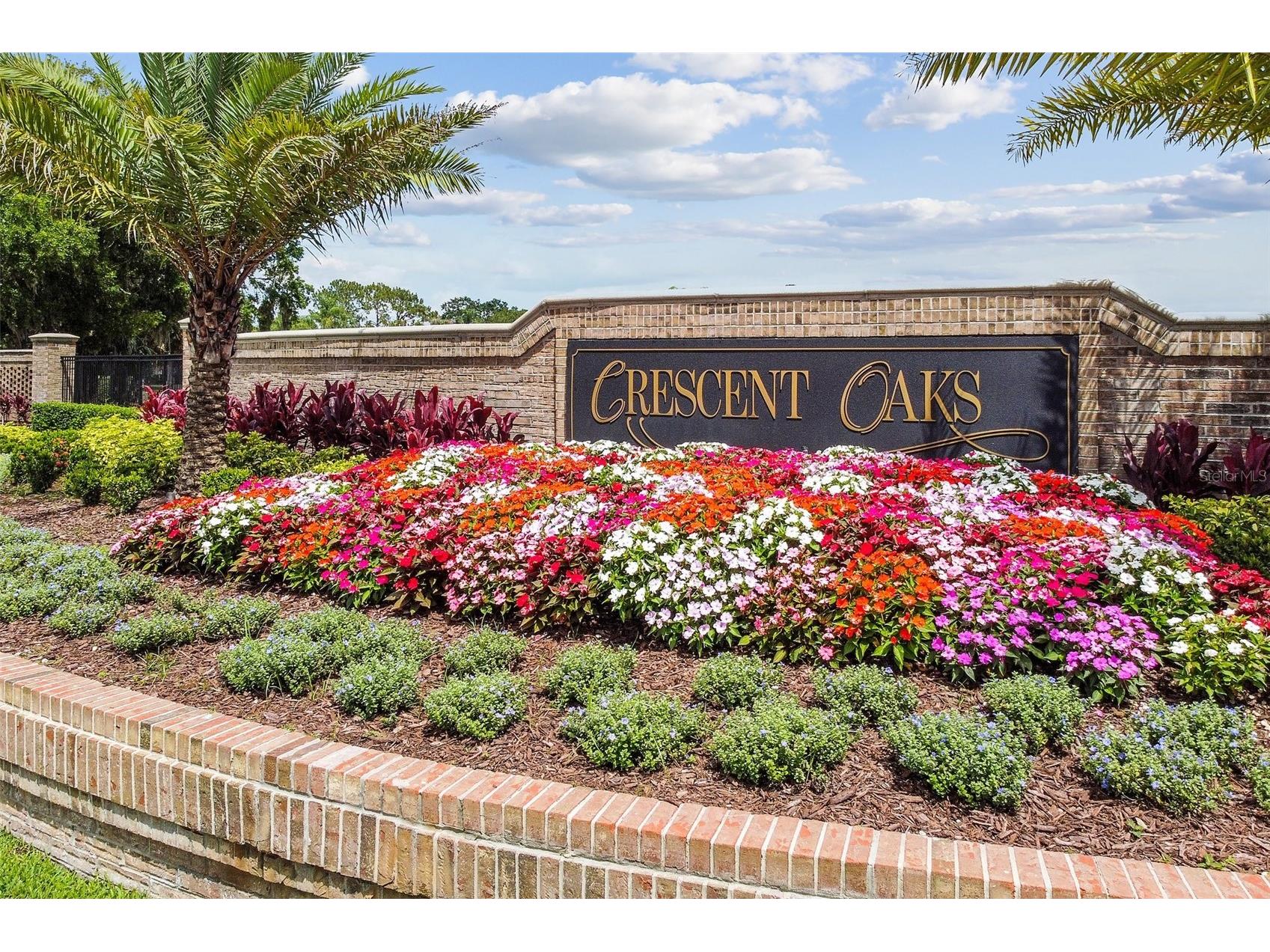 3351 Bristol Place Tarpon Springs FL 34688 TB8482613 image62