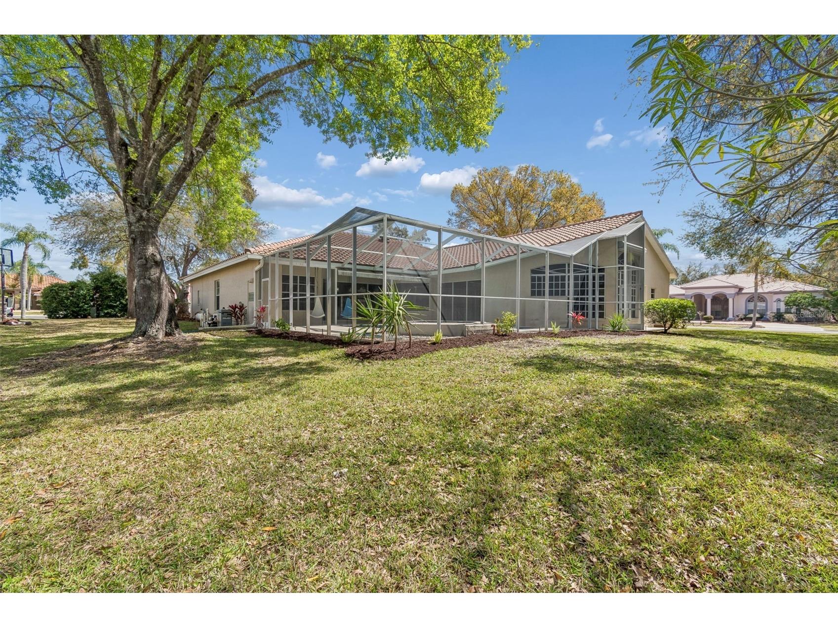 3351 Bristol Place Tarpon Springs FL 34688 TB8482613 image7
