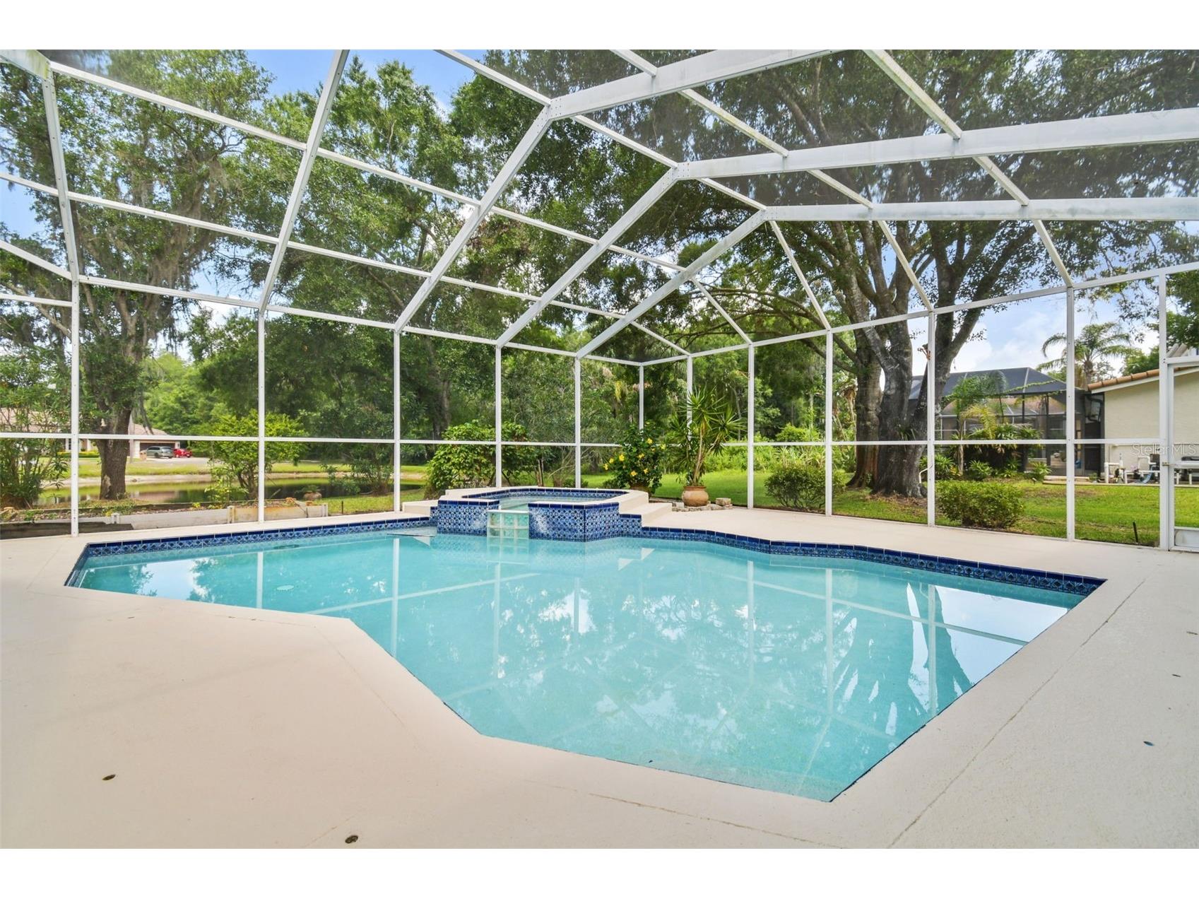 3351 Bristol Place Tarpon Springs FL 34688 TB8482613 image9