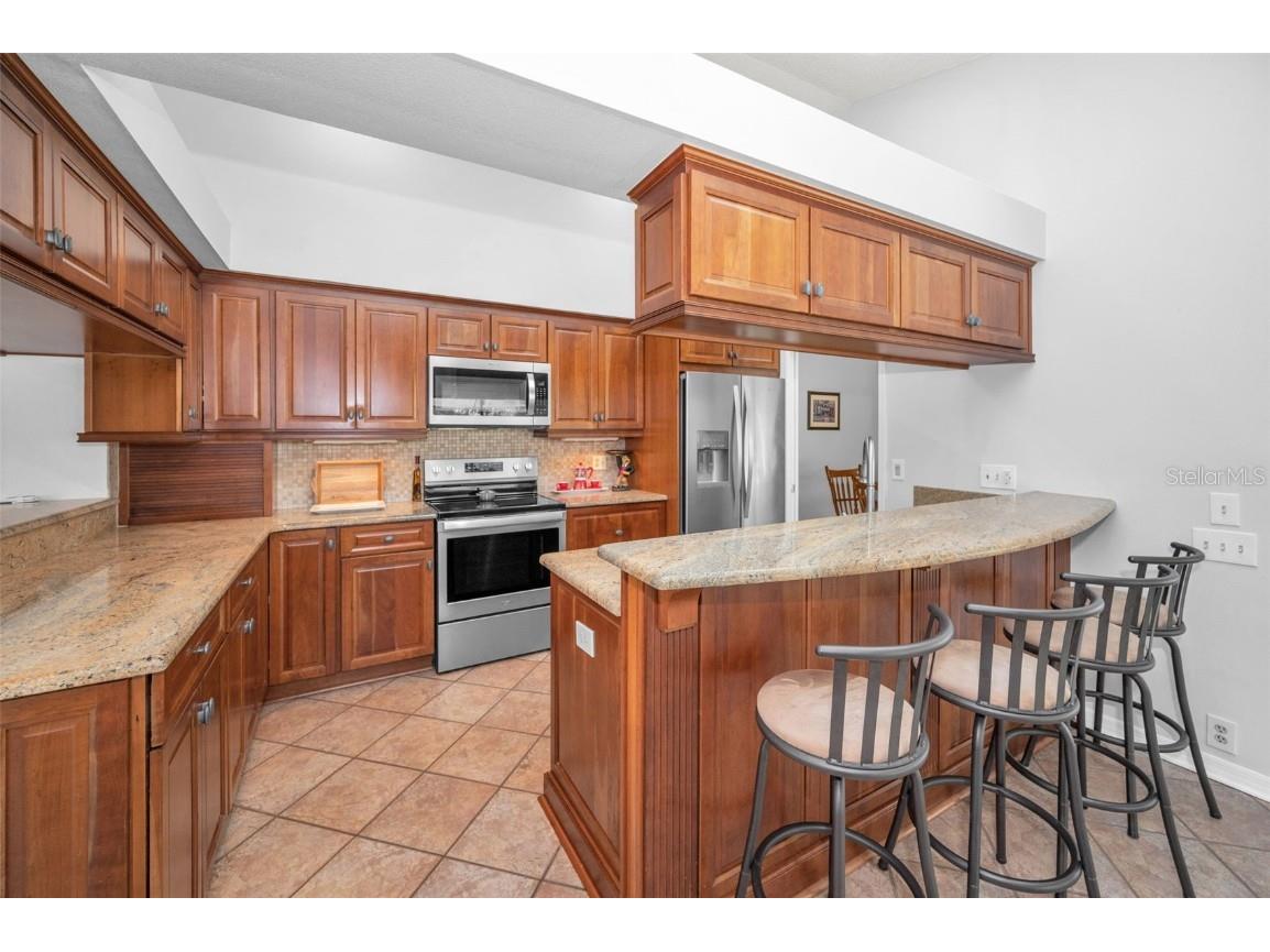 3351 Jadewood Circle Tarpon Springs FL 34688 TB8439353 image15