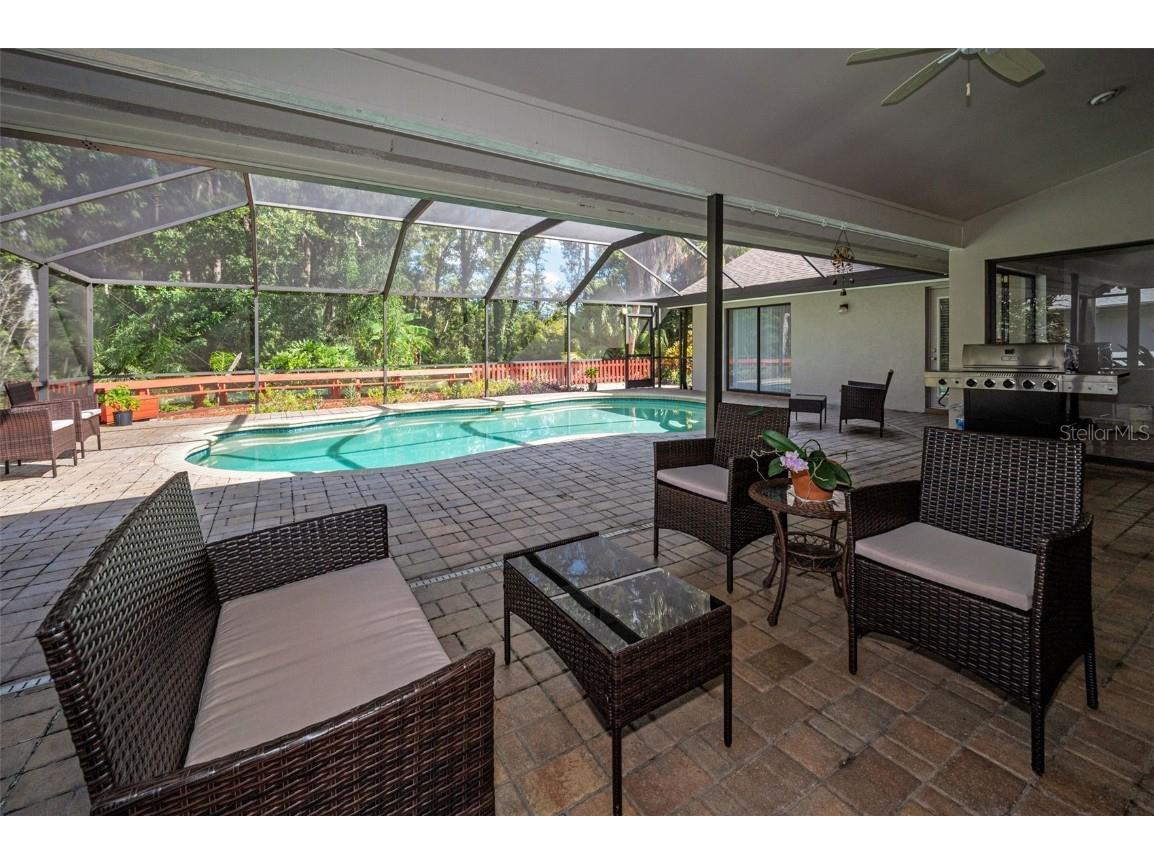 3351 Jadewood Circle Tarpon Springs FL 34688 TB8439353 image39