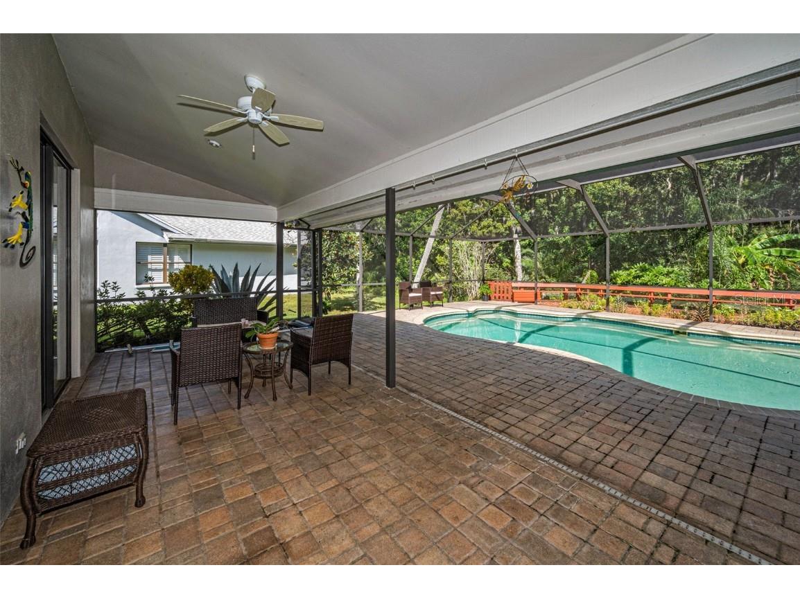 3351 Jadewood Circle Tarpon Springs FL 34688 TB8439353 image40