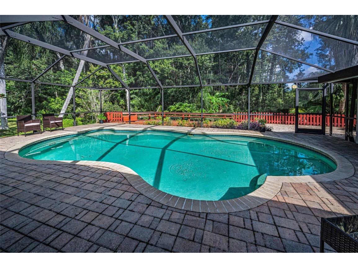 3351 Jadewood Circle Tarpon Springs FL 34688 TB8439353 image41