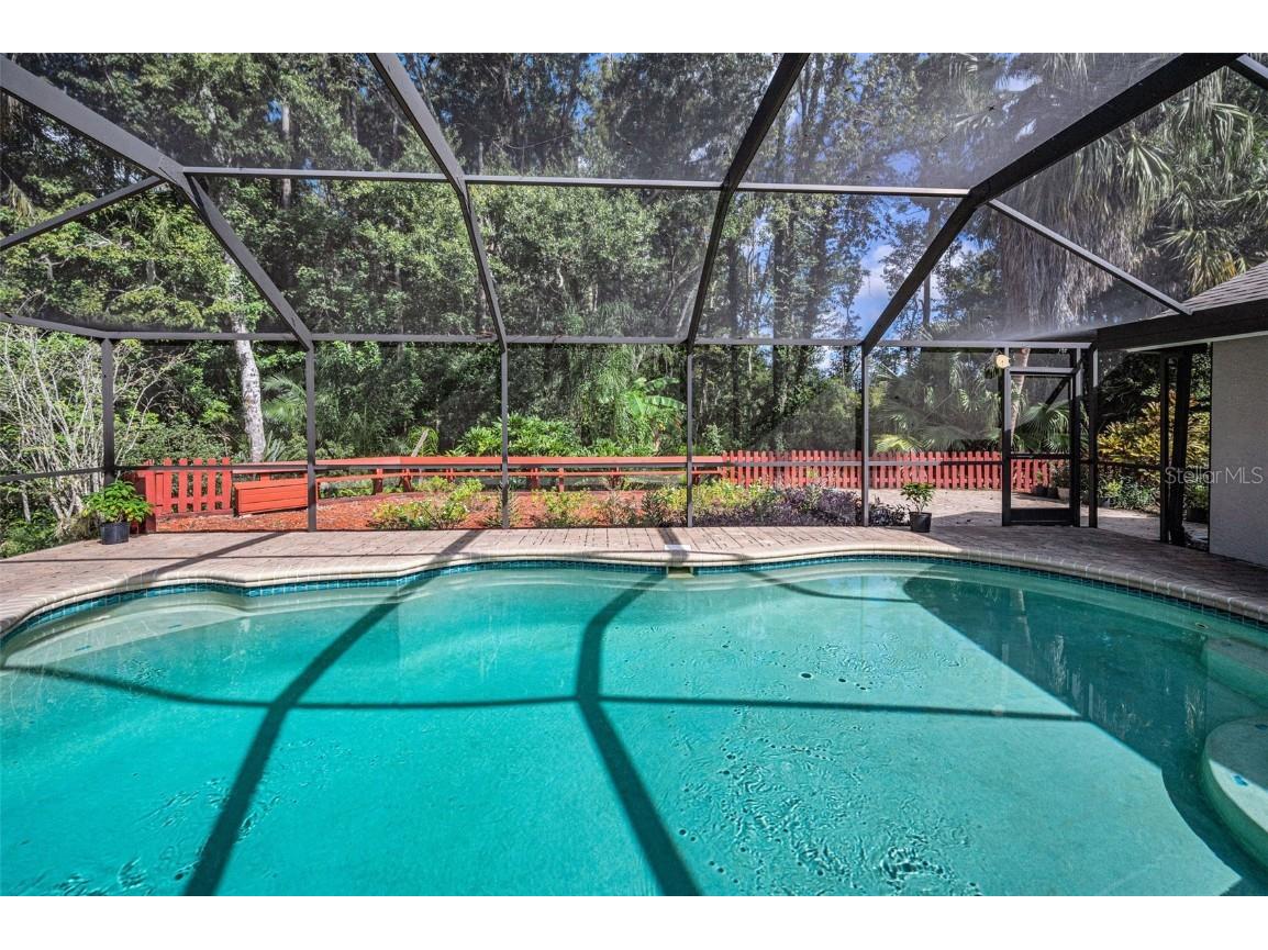 3351 Jadewood Circle Tarpon Springs FL 34688 TB8439353 image43