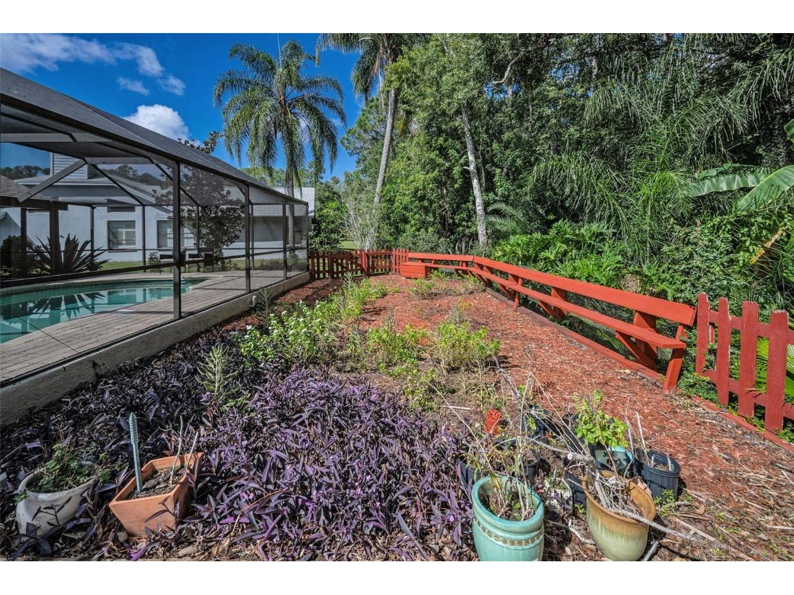 3351 Jadewood Circle Tarpon Springs FL 34688 TB8439353 image47