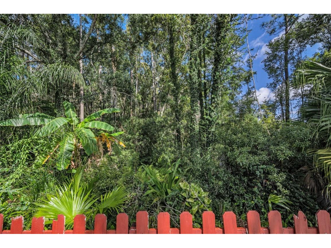 3351 Jadewood Circle Tarpon Springs FL 34688 TB8439353 image52