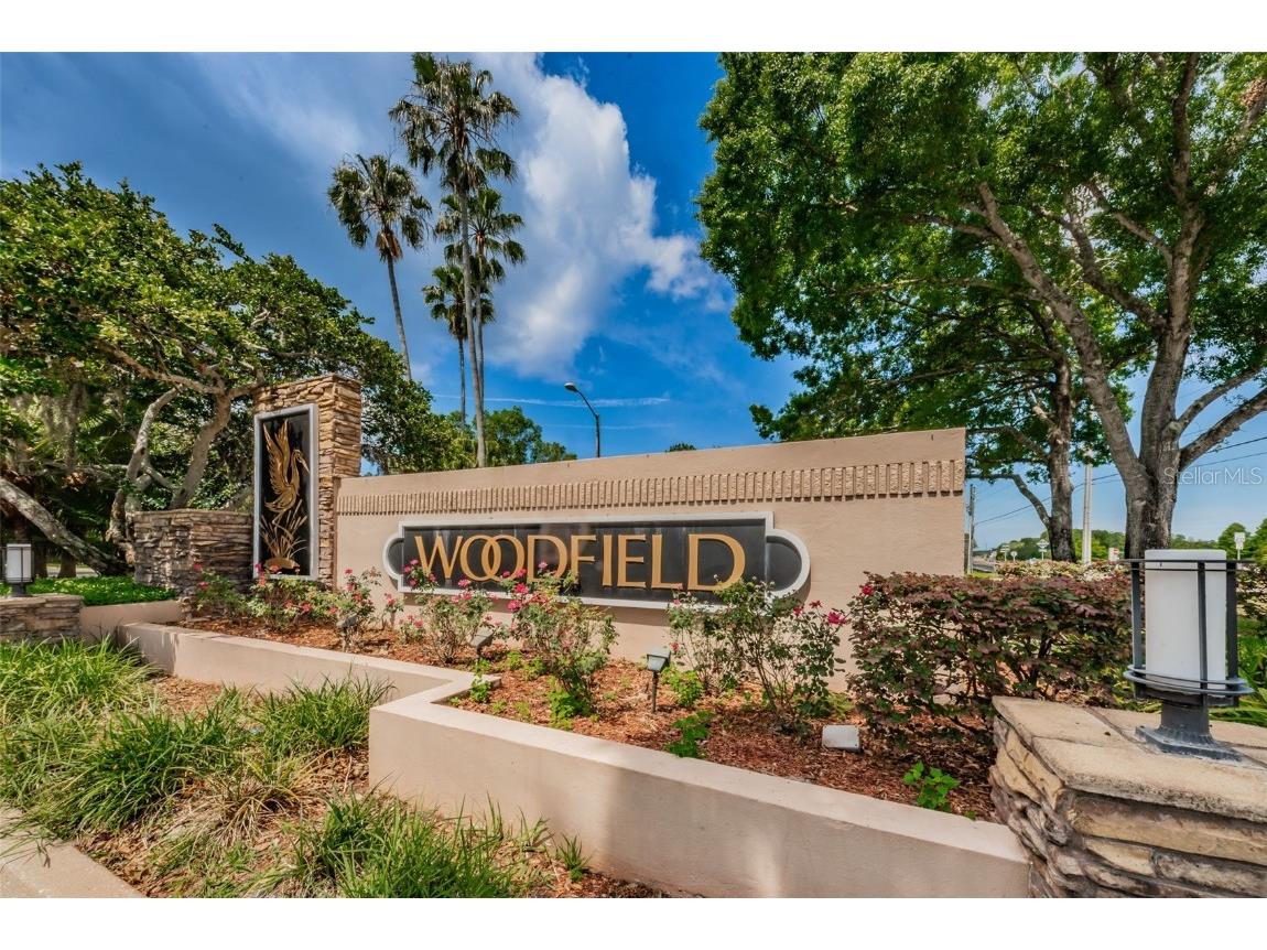 3351 Jadewood Circle Tarpon Springs FL 34688 TB8439353 image57