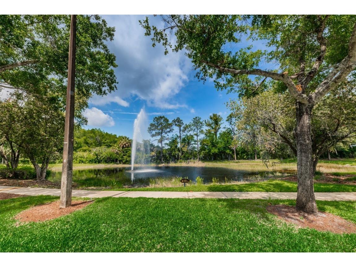 3351 Jadewood Circle Tarpon Springs FL 34688 TB8439353 image58