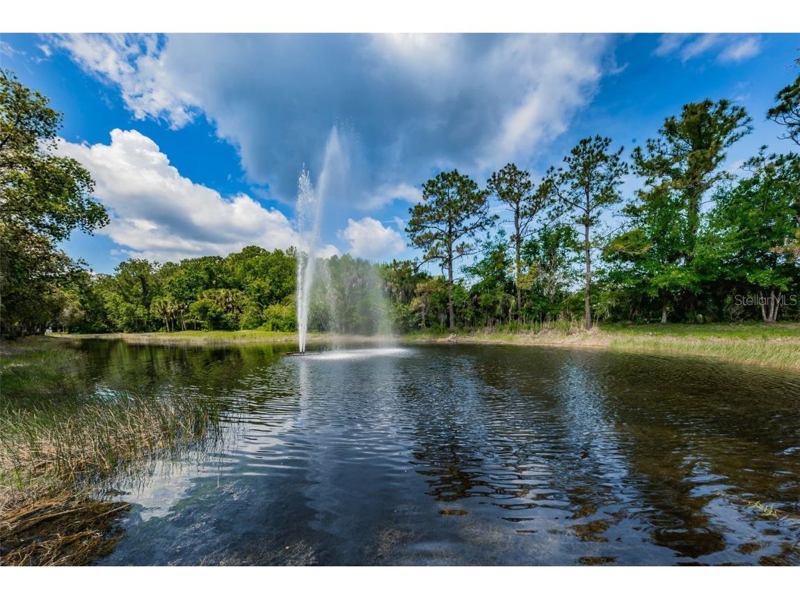 3351 Jadewood Circle Tarpon Springs FL 34688 TB8439353 image59