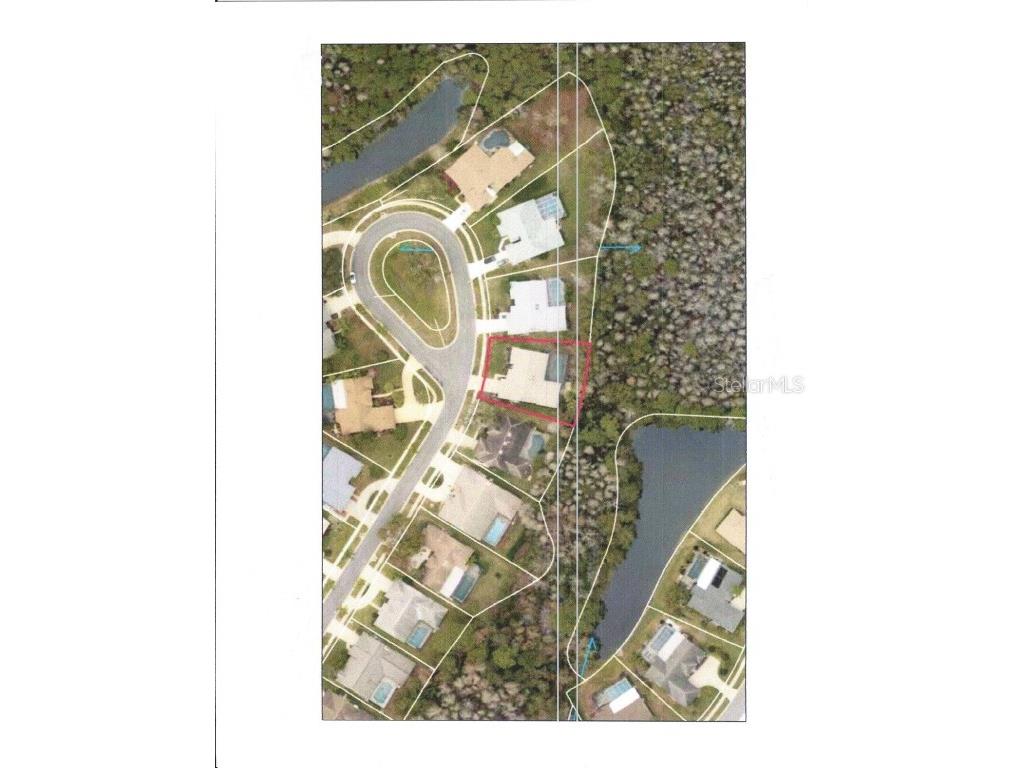 3351 Jadewood Circle Tarpon Springs FL 34688 TB8439353 image60