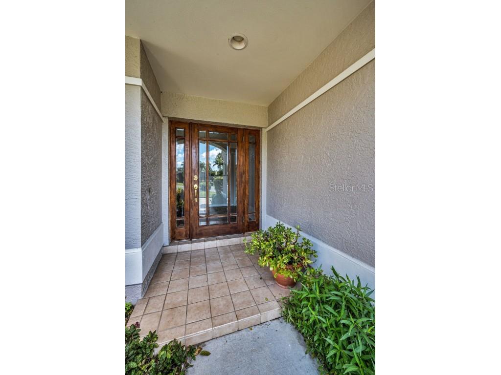 3351 Jadewood Circle Tarpon Springs FL 34688 TB8439353 image8