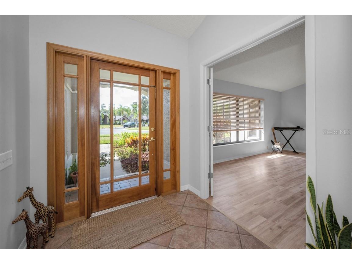 3351 Jadewood Circle Tarpon Springs FL 34688 TB8439353 image9