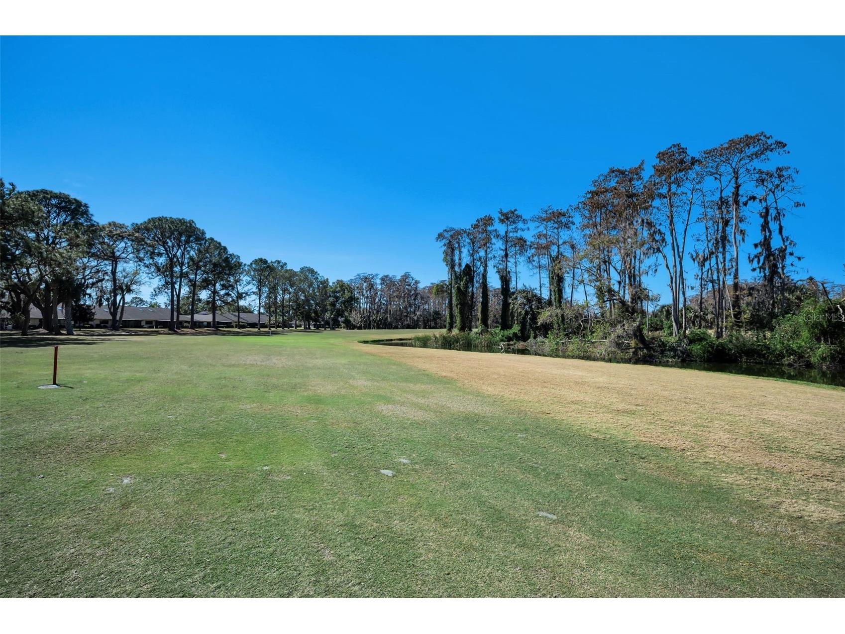 3351 Lori Lane #3351 New Port Richey FL 34655 TB8473965 image36