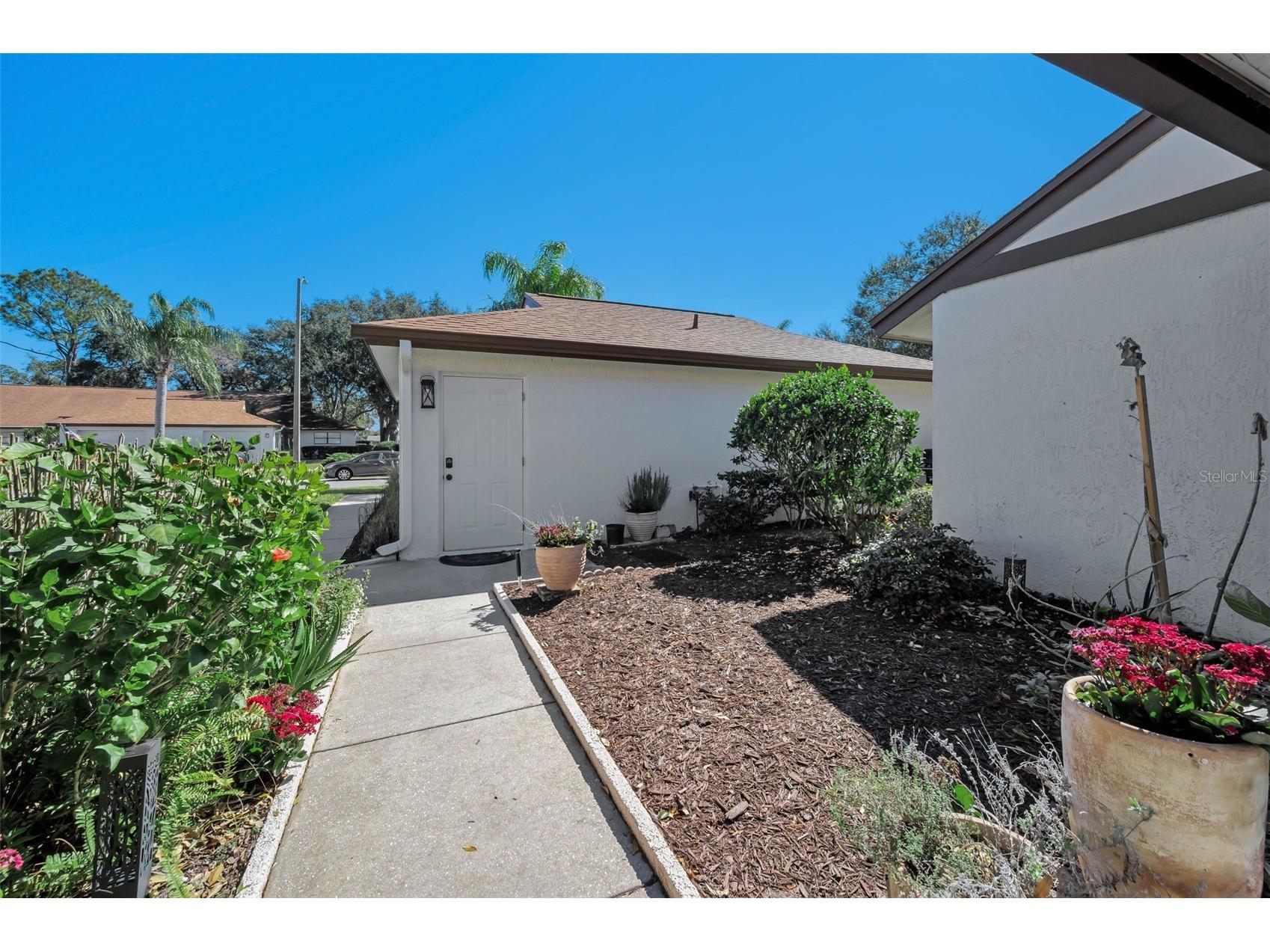 3351 Lori Lane #3351 New Port Richey FL 34655 TB8473965 image6