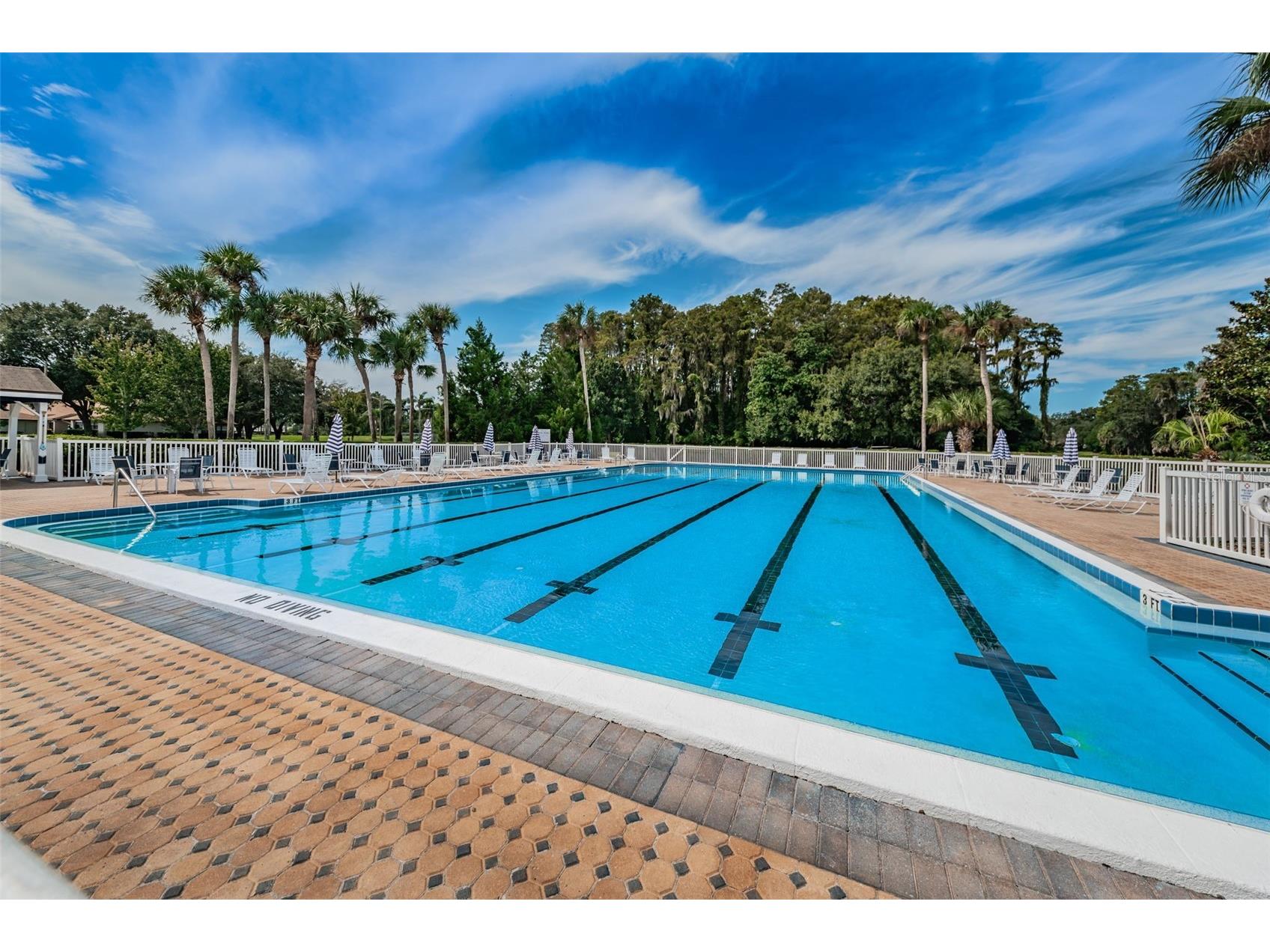 3351 Lori Lane #3351 New Port Richey FL 34655 TB8473965 image60