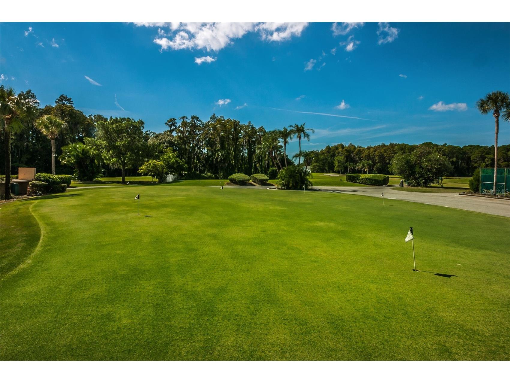 3351 Lori Lane #3351 New Port Richey FL 34655 TB8473965 image61