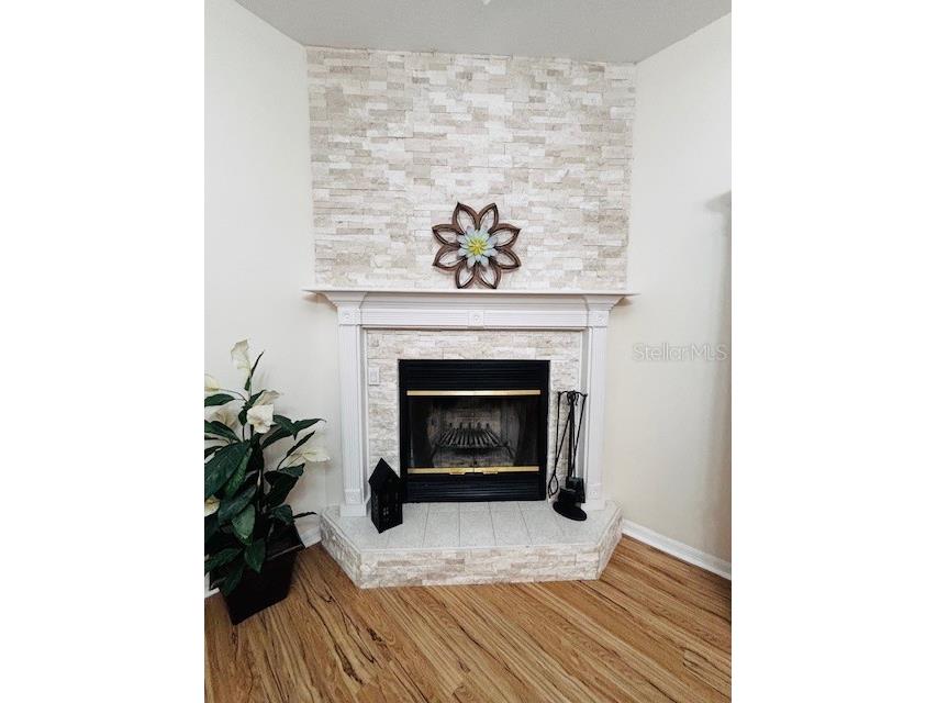 3351 Rackley Road Brooksville FL 34604 TB8455475 image5