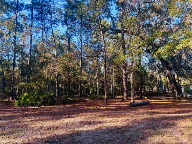 3351 Rackley Road Brooksville FL 34604 TB8455475 image55