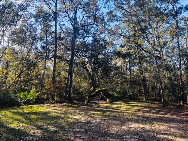 3351 Rackley Road Brooksville FL 34604 TB8455475 image56