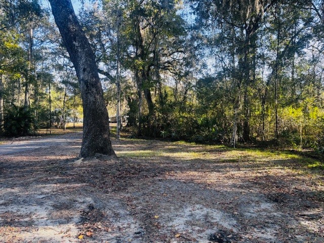 3351 Rackley Road Brooksville FL 34604 TB8455475 image57