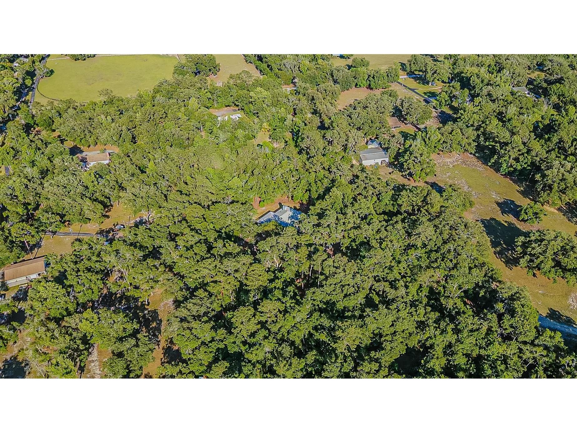 3351 Rackley Road Brooksville FL 34604 TB8455475 image58