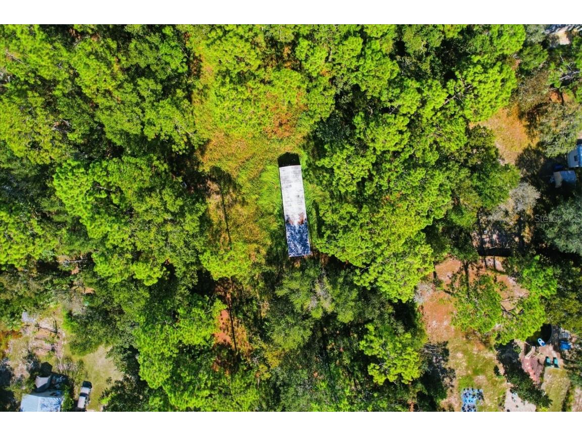 3351 S Junket Drive Homosassa FL 34448 TB8442102 image4