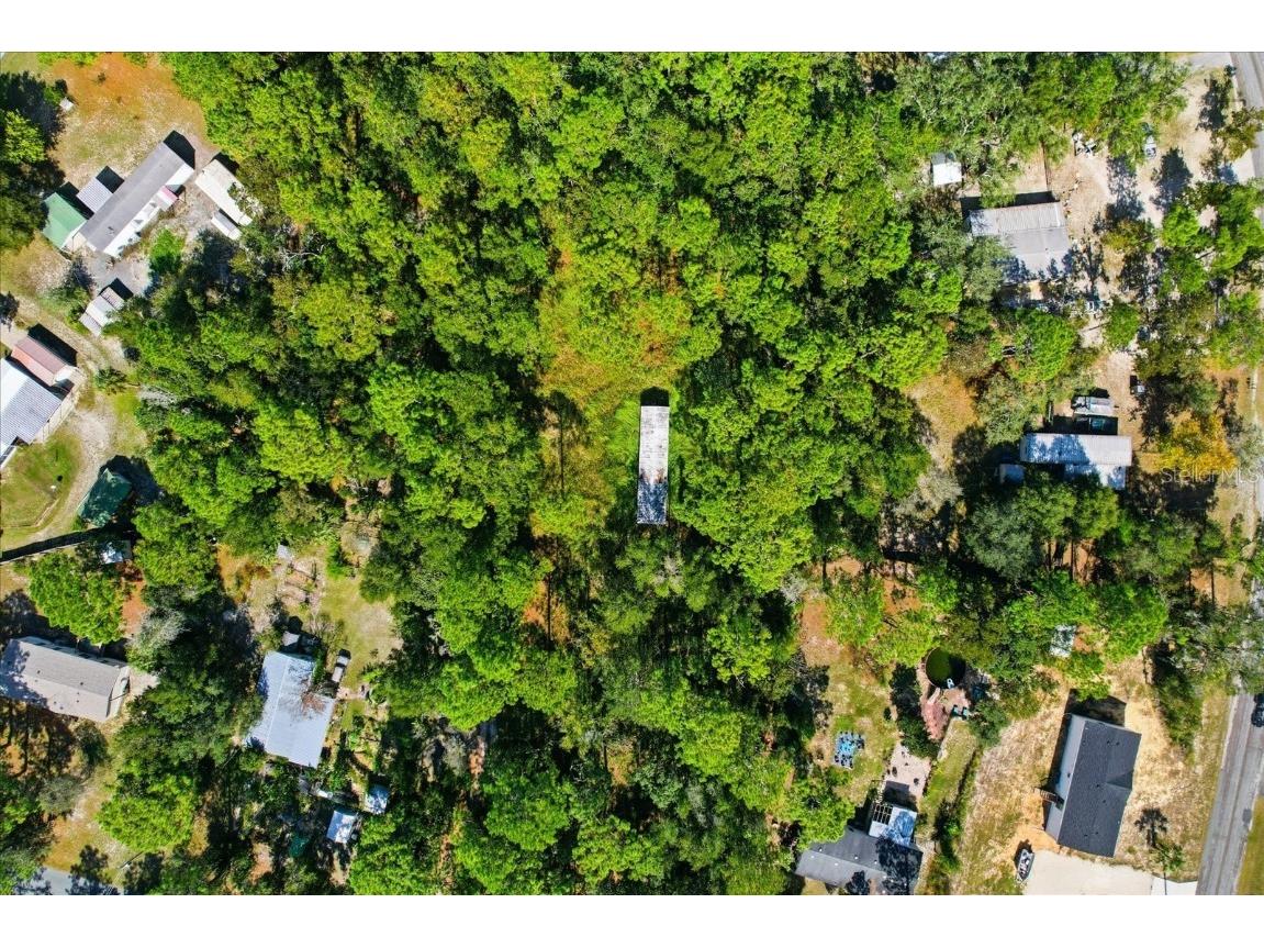 3351 S Junket Drive Homosassa FL 34448 TB8442102 image5