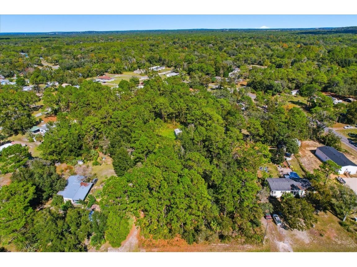 3351 S Junket Drive Homosassa FL 34448 TB8442102 image6