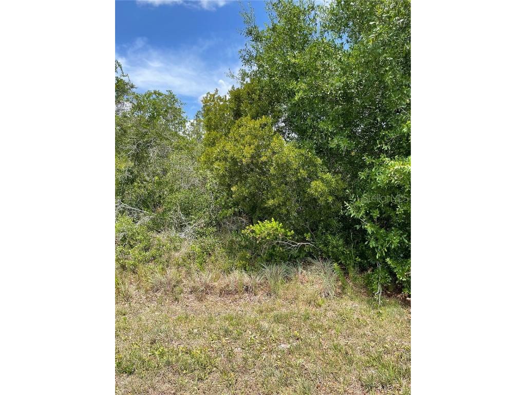 33514 3352233528 Washington Loop Road Punta Gorda FL 33982 C7443502 image1