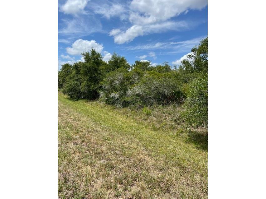 33514 3352233528 Washington Loop Road Punta Gorda FL 33982 C7443502 image2