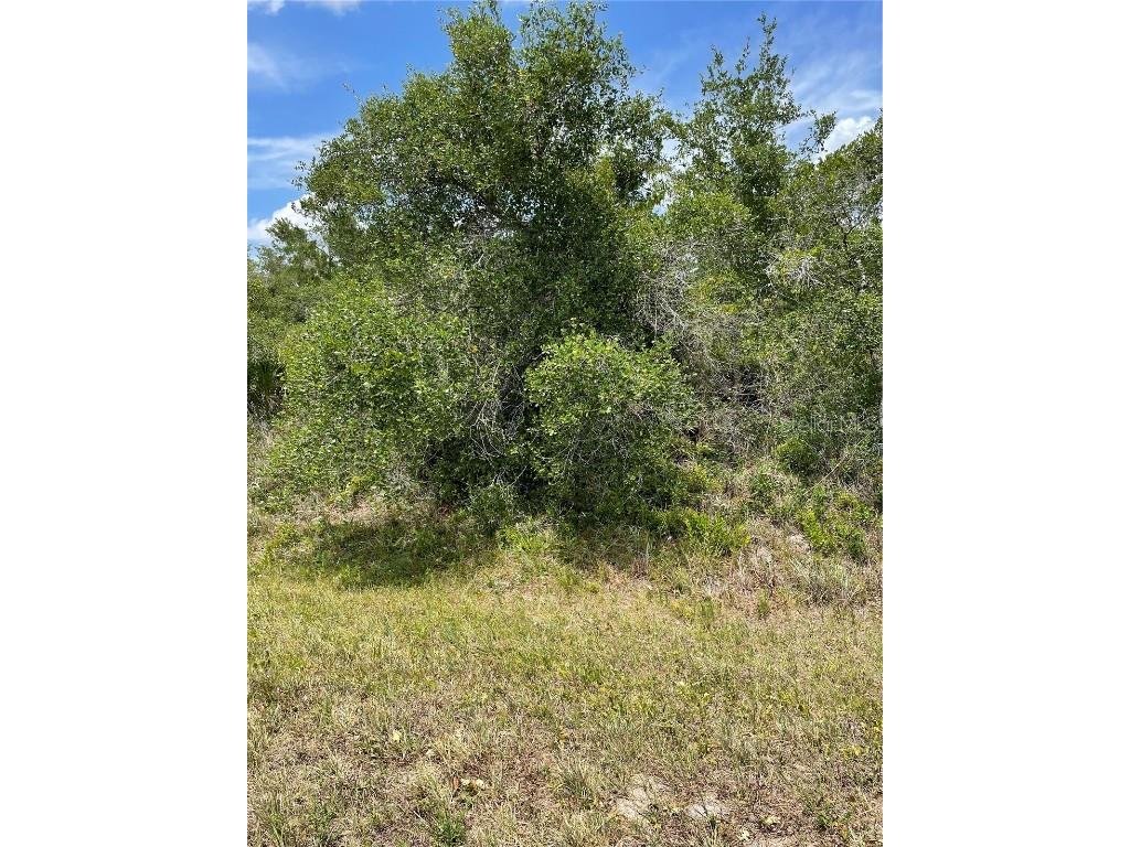 33514 3352233528 Washington Loop Road Punta Gorda FL 33982 C7443502 image3