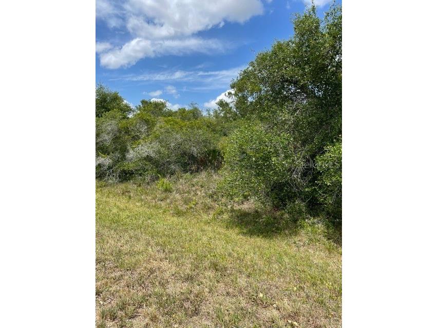 33514 3352233528 Washington Loop Road Punta Gorda FL 33982 C7443502 image4