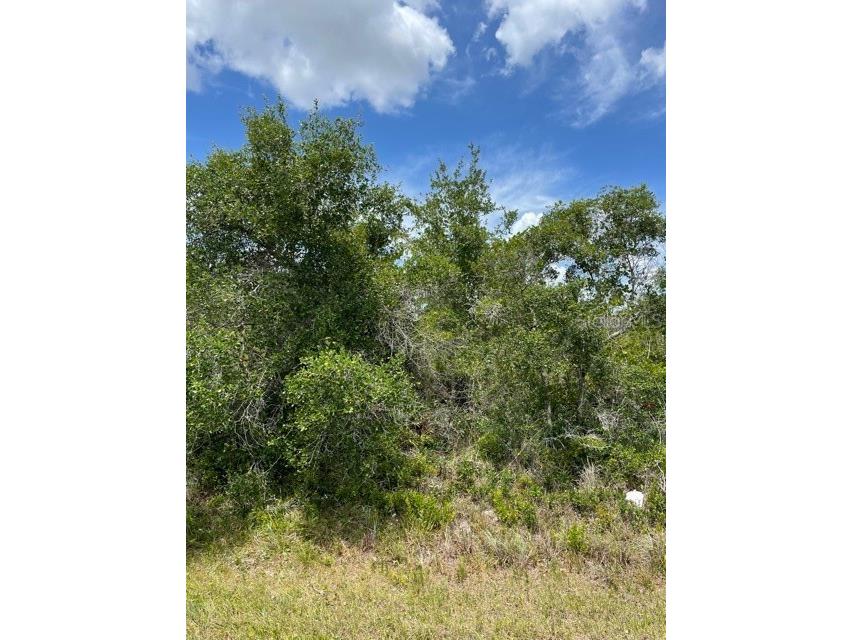 33514 3352233528 Washington Loop Road Punta Gorda FL 33982 C7443502 image5