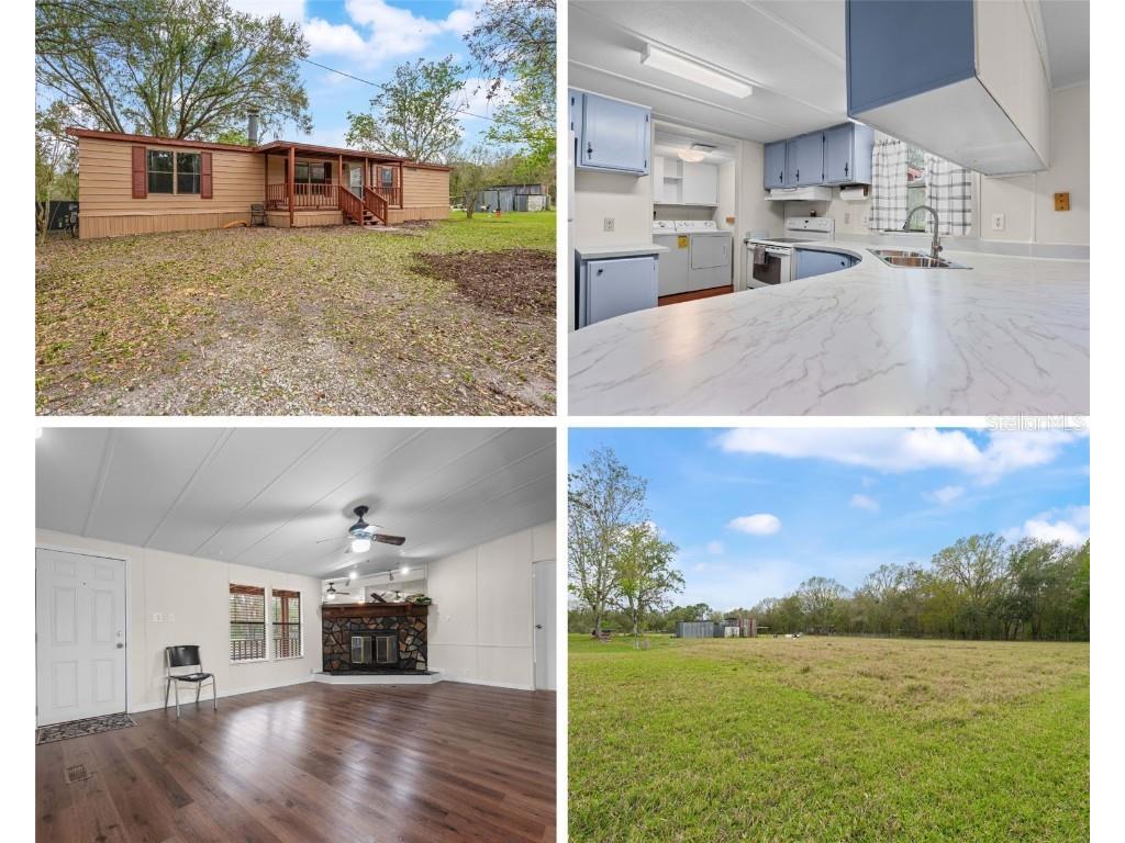 33518 Mandrake Road Zephyrhills FL 33543 TB8354658 image1