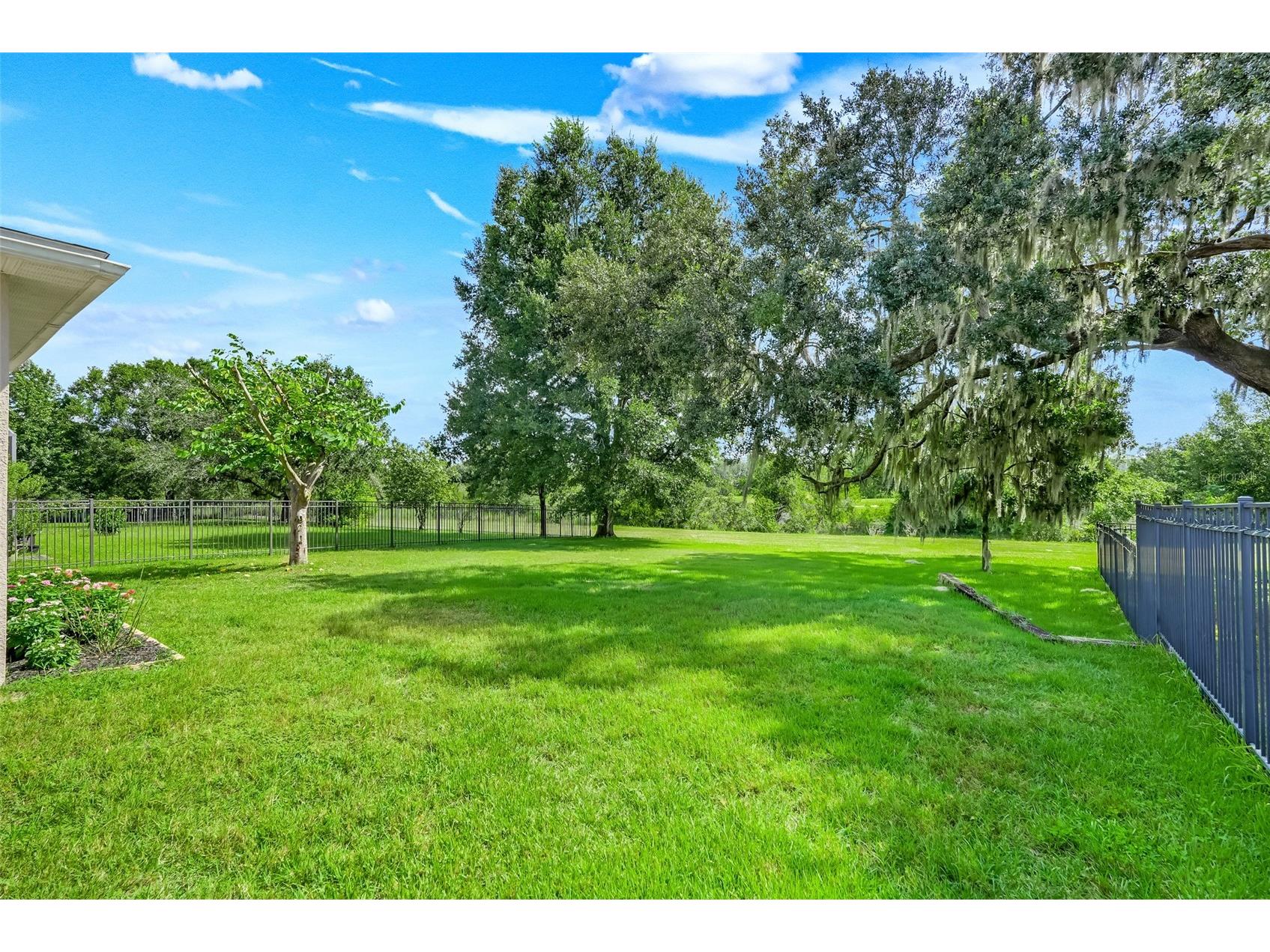 33519 Terragona Drive Sorrento FL 32776 G5115489 image48