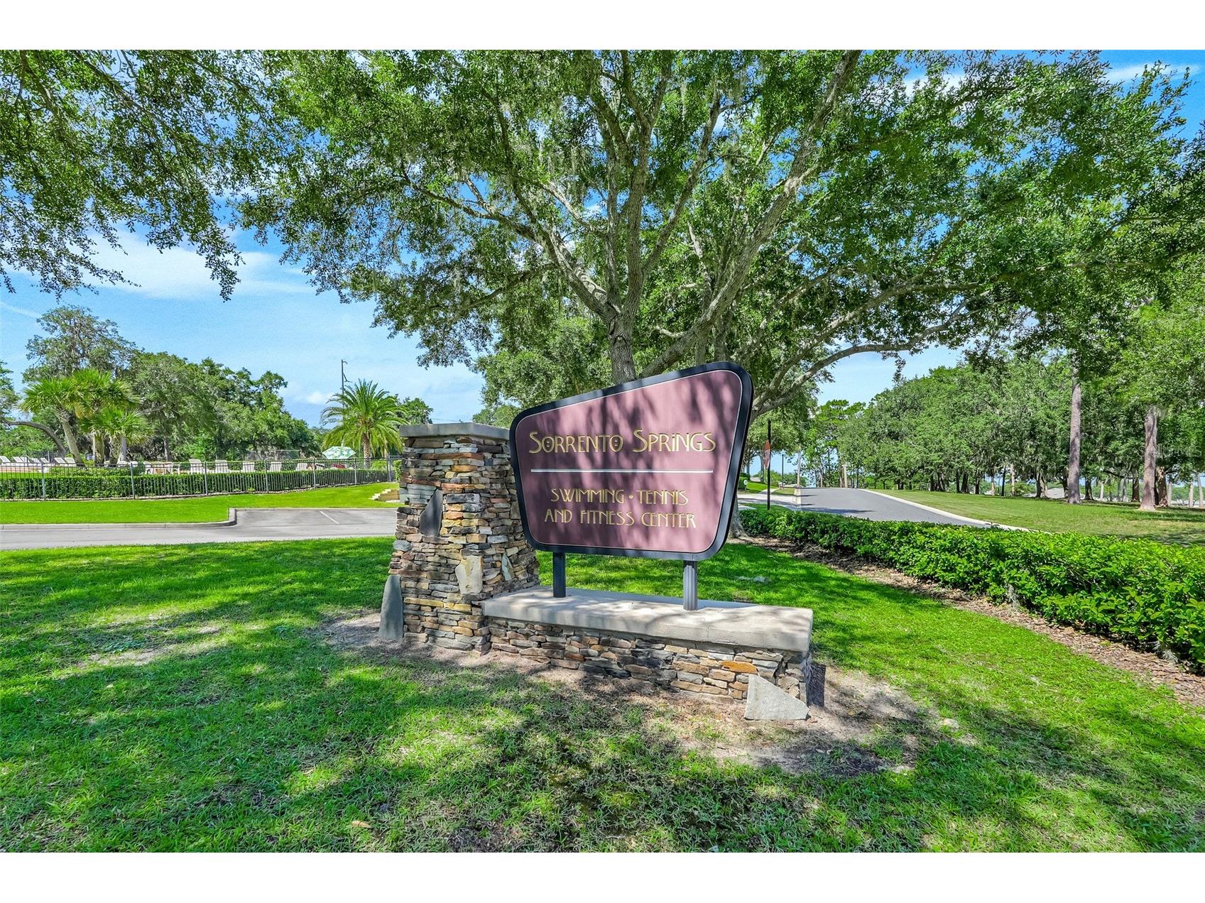 33519 Terragona Drive Sorrento FL 32776 G5115489 image53