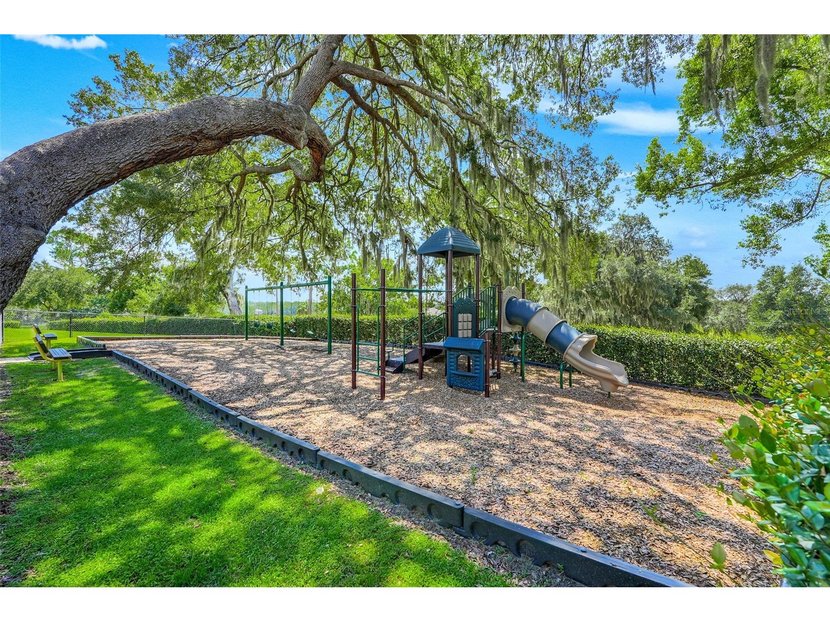 33519 Terragona Drive Sorrento FL 32776 G5115489 image55