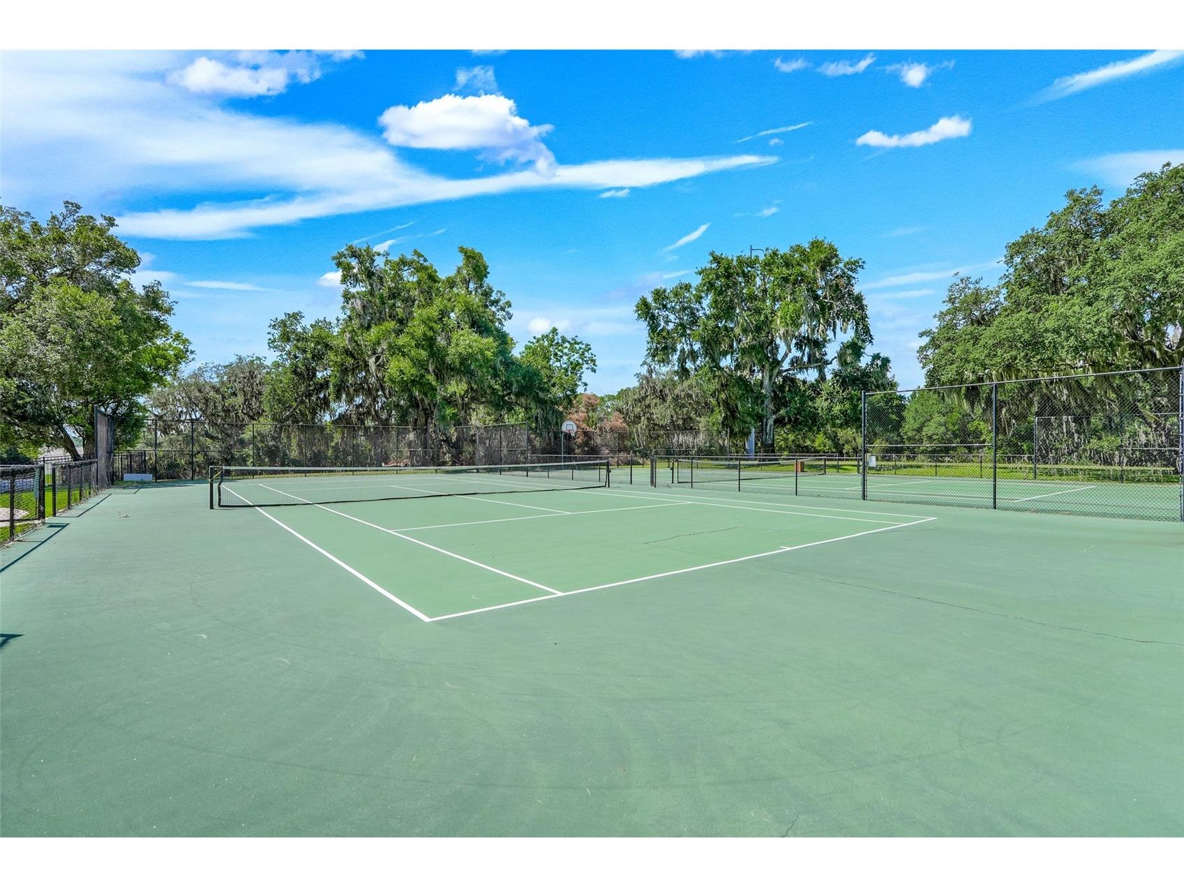 33519 Terragona Drive Sorrento FL 32776 G5115489 image56