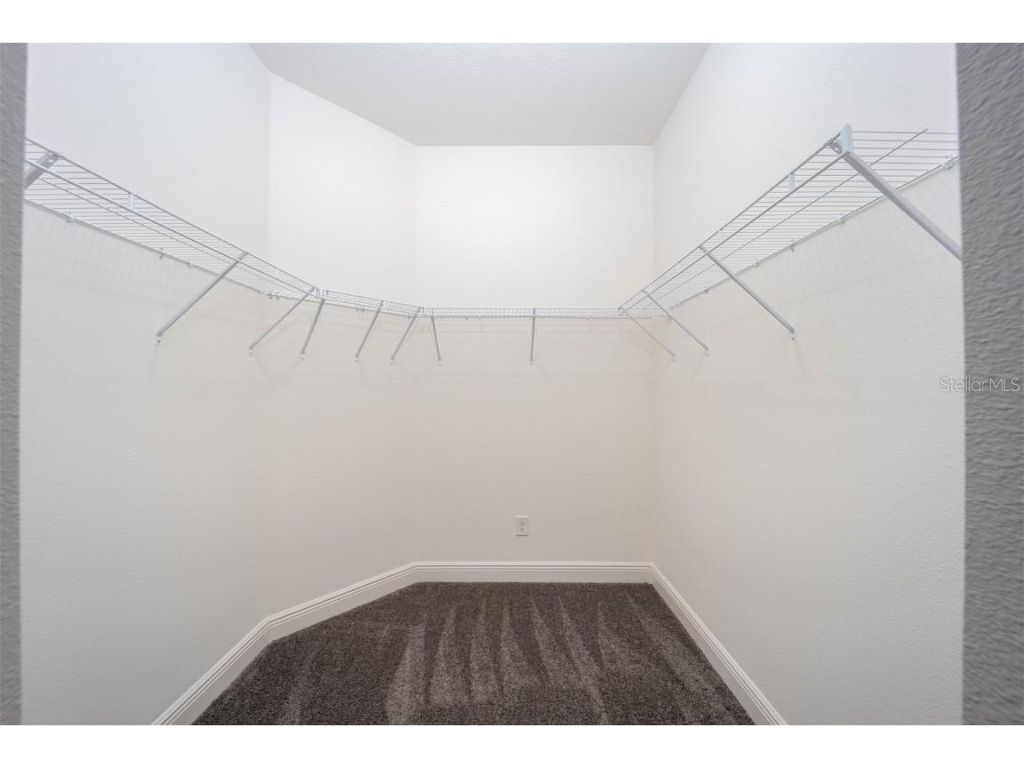 3352 Chinotto Drive Lake Alfred FL 33850 - GUM LAKE TB8431882 image13