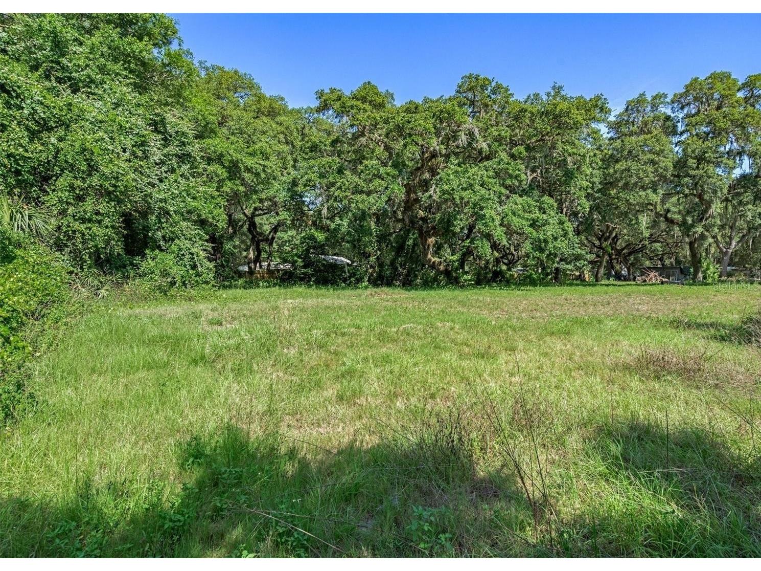 3352 Sandy Drive Zephyrhills FL 33541 TB8469013 image1